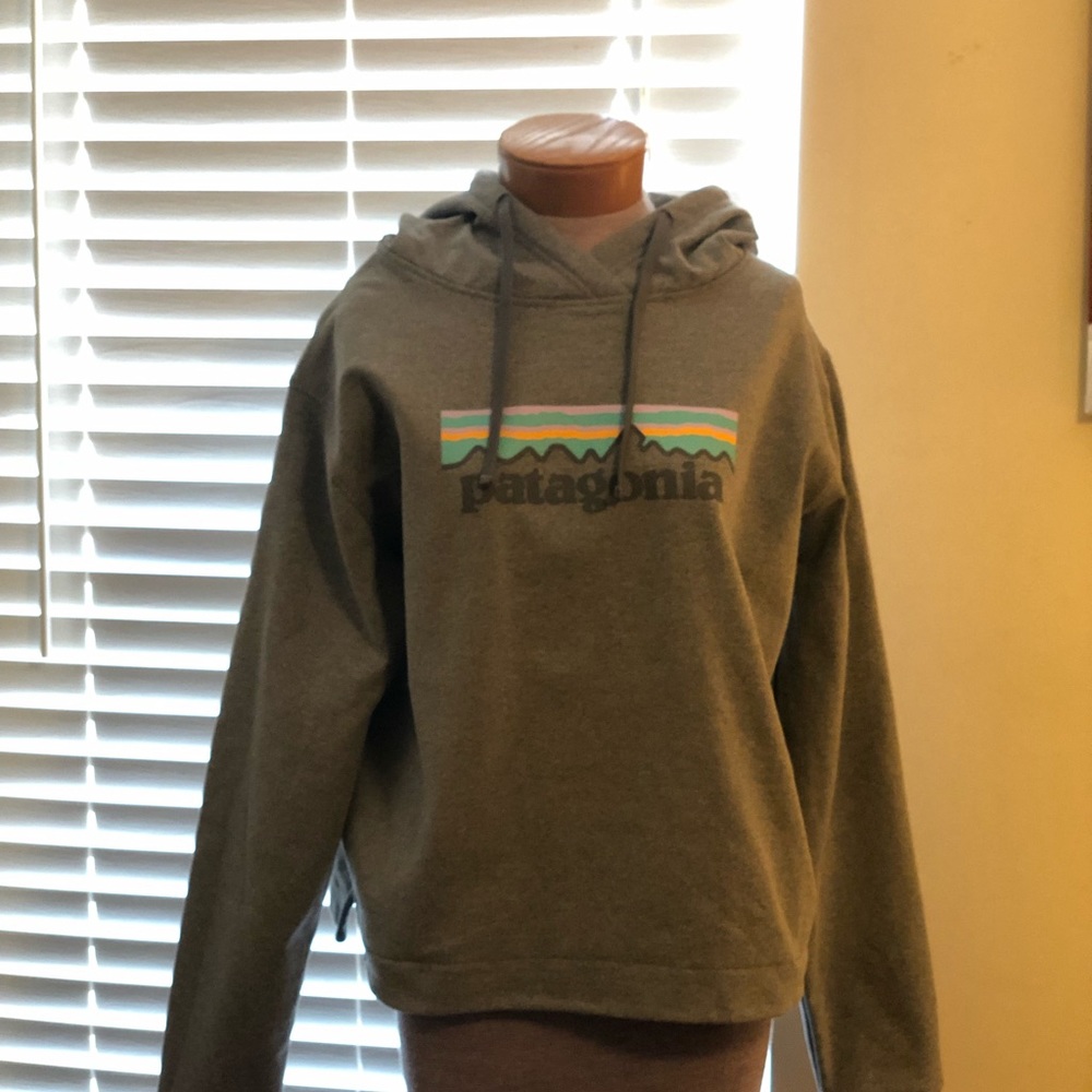 Patagonia Hoodie Large